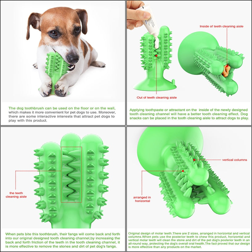 Dental Chew Toys for Dogs Healthy Fresh Puppy Teeth Cleaning Brush Cactus Large Breed Dog Molar Toothbrush Stick Pet Supplies