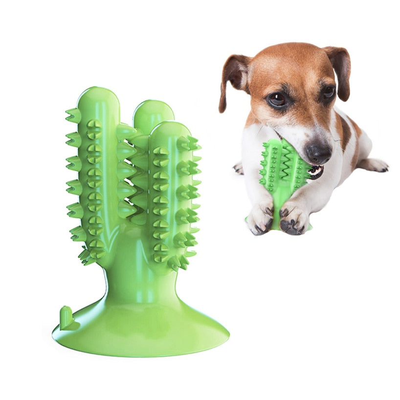 Dental Chew Toys for Dogs Healthy Fresh Puppy Teeth Cleaning Brush Cactus Large Breed Dog Molar Toothbrush Stick Pet Supplies